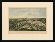 Load image into Gallery viewer, Magnus, Charles "Harewood Hospital, Washington, D.C."
