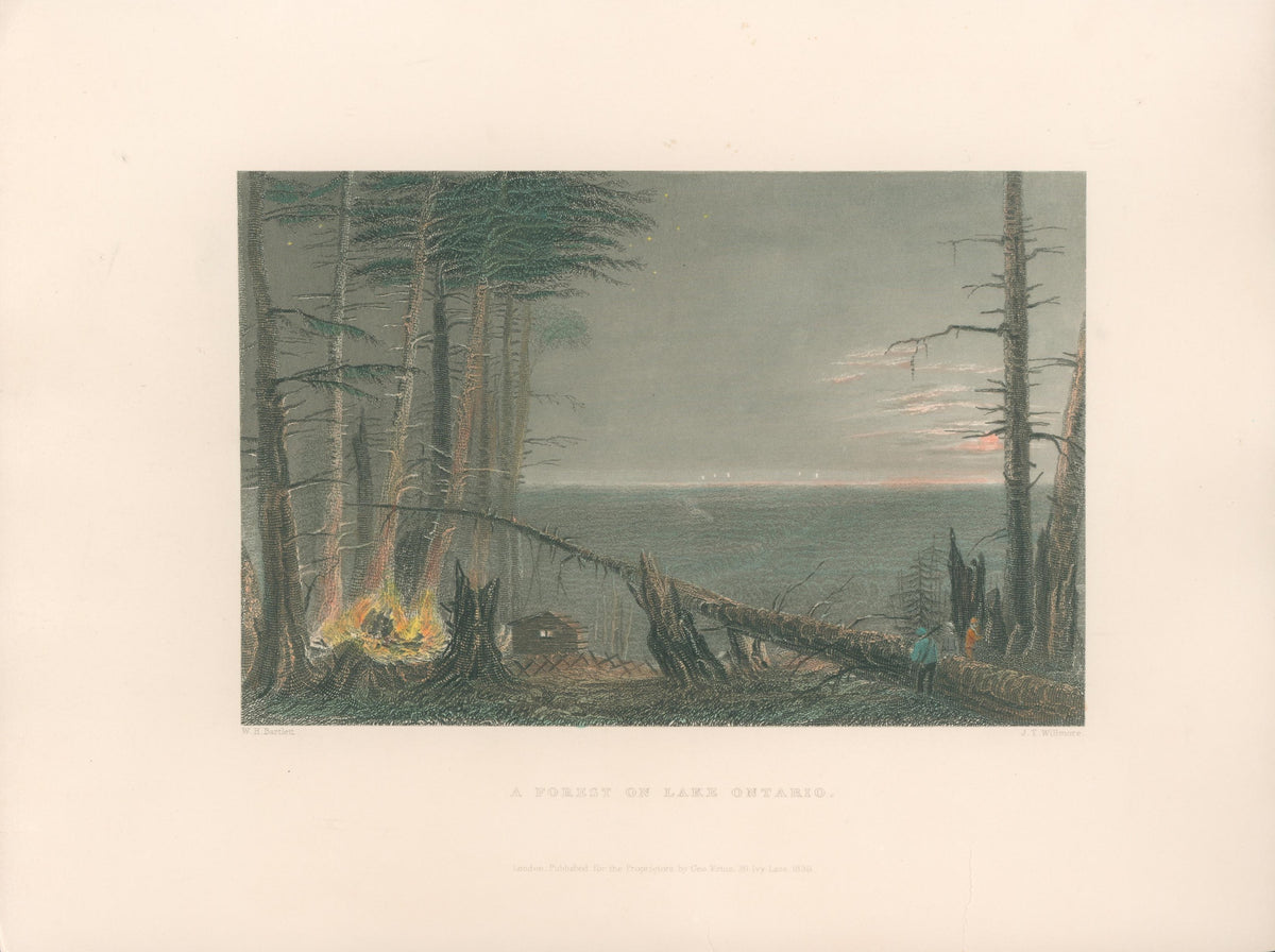 Bartlett, William Henry “Forest On Lake Ontario” [New York