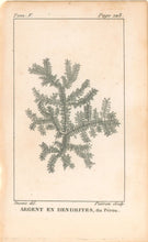 Load image into Gallery viewer, Deseve "Argent en Dendrites, du Pérou"