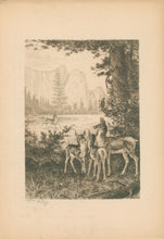 Load image into Gallery viewer, Cary, W.M.  “Cathedral Rocks-Yosemite”