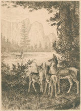 Load image into Gallery viewer, Cary, W.M.  “Cathedral Rocks-Yosemite”
