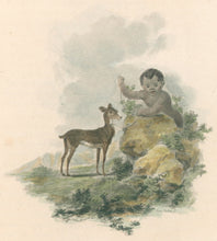 Load image into Gallery viewer, Ibbetson, Julius Caesar  “Chevrotain”