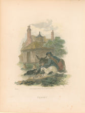 Load image into Gallery viewer, Ibbetson, Julius Caesar  “Ferret”