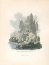 Load image into Gallery viewer, Ibbetson, Julius Caesar  “Polar Bear”