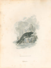 Load image into Gallery viewer, Ibbetson, Julius Caesar  “Seal”
