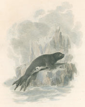 Load image into Gallery viewer, Ibbetson, Julius Caesar  “Seal”