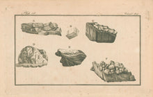 Load image into Gallery viewer, Unattributed &quot;Plate 1st.&quot; [Fossils] From &quot;The Columbian Magazine&quot;
