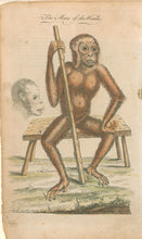 Load image into Gallery viewer, Edwards, George “The Man of the Woods”