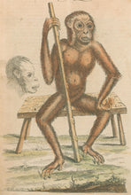 Load image into Gallery viewer, Edwards, George “The Man of the Woods”