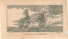 Load image into Gallery viewer, Birch, Thomas “The Peacock and Epervier"