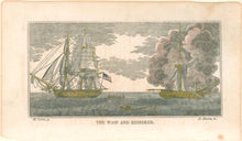 Load image into Gallery viewer, Cornè, Michele Felice “The Wasp and the Reindeer"