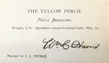 Load image into Gallery viewer, Petrie, J.L.  "Yellow Perch”