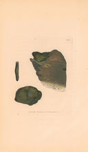 Load image into Gallery viewer, Sowerby, James Pl. 140. From "British Mineralogy: or Coloured Figures intended to elucidate the Mineralogy of Great Britain"