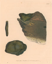 Load image into Gallery viewer, Sowerby, James Pl. 140. From "British Mineralogy: or Coloured Figures intended to elucidate the Mineralogy of Great Britain"