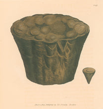Load image into Gallery viewer, Sowerby, James Pl. 149. From "British Mineralogy: or Coloured Figures intended to elucidate the Mineralogy of Great Britain"