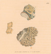 Load image into Gallery viewer, Sowerby, James Pl. 161. From "British Mineralogy: or Coloured Figures intended to elucidate the Mineralogy of Great Britain"