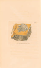 Load image into Gallery viewer, Sowerby, James Pl. 172. From "British Mineralogy: or Coloured Figures intended to elucidate the Mineralogy of Great Britain"