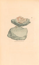 Load image into Gallery viewer, Sowerby, James Pl. 185. From &quot;British Mineralogy: or Coloured Figures intended to elucidate the Mineralogy of Great Britain&quot;
