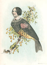 Load image into Gallery viewer, Stephens, Henry L. “Catorn’s Warbler.”  [Kate Horn, singer from New York] From &quot;The Comic Natural History of the Human Race&quot;
