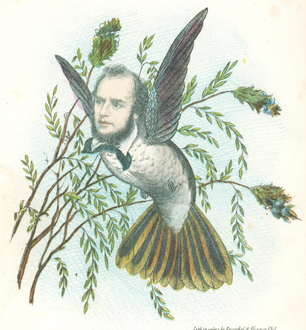 Stephens, Henry L. “Humming Bird.”  [soft spoken man] From 