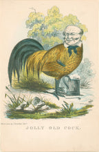 Load image into Gallery viewer, Stephens, Henry L. “Jolly Old Cock.”  [John Swift, tavern sitter] From &quot;The Comic Natural History of the Human Race&quot;
