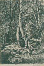 Load image into Gallery viewer, White, Theo Ballou "Reed’s Creek, West Virginia"