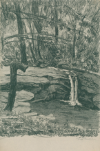 Load image into Gallery viewer, White, Theo Ballou  [Waterfall and Pool, Reed’s Creek, West Virginia]

