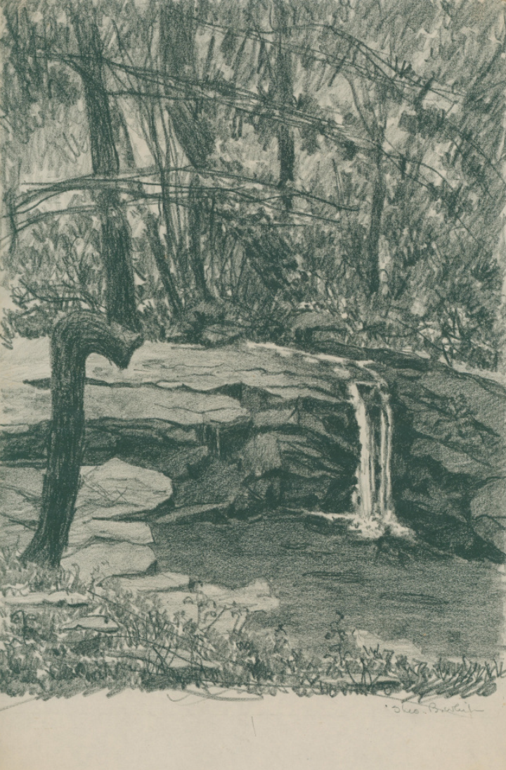 White, Theo Ballou  [Waterfall and Pool, Reed’s Creek, West Virginia]