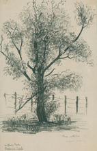 Load image into Gallery viewer, White, Theo Ballou “Willow Tree, Roaring Creek”