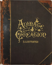 Load image into Gallery viewer, Wood, J.G.  "Animate Creation; Popular Edition of 'Our Living World,' A Natural History Volume II.  Birds"