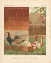 Load image into Gallery viewer, Unattributed "Mr. W.F. Entwistle's Black Red & Pile Game Bantams." From "The Illustrated Book of Poultry"