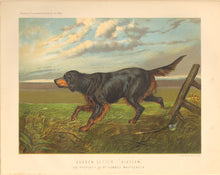 Load image into Gallery viewer, Shaw, Vero  “Gordon Setter ‘Blossom.’ The Property of Mr. Howard Mapplebeck.”