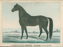 Load image into Gallery viewer, Cameron, James "The Celebrated Trotting Stallion George Wilkes by Rysdyk's Hambletonian."
