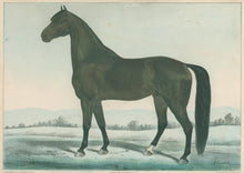 Load image into Gallery viewer, Cameron, James "The Celebrated Trotting Stallion George Wilkes by Rysdyk's Hambletonian."