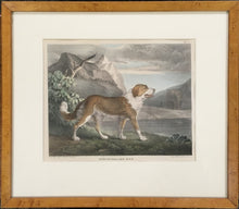 Load image into Gallery viewer, Doughty, Thomas “Newfoundland Dog.”