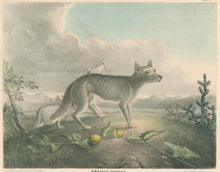 Load image into Gallery viewer, Doughty, Thomas “Prairie Wolves."