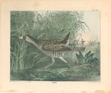 Load image into Gallery viewer, Doughty, Thomas  “Rail.”