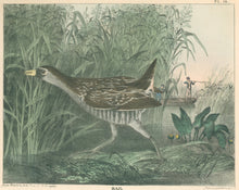 Load image into Gallery viewer, Doughty, Thomas  “Rail.”