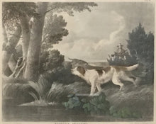 Load image into Gallery viewer, Doughty, Thomas “Woodcock Shooting.”