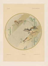 Load image into Gallery viewer, Habert-Dys. Planche 9.
