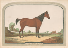 Load image into Gallery viewer, Unattributed "Flora Temple. 2-24 1/2 in harness; Union Course, L.I. Sept. 2, 1856"