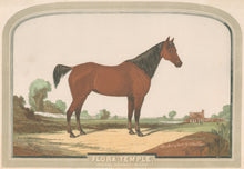 Load image into Gallery viewer, Unattributed "Flora Temple. 2-24 1/2 in harness; Union Course, L.I. Sept. 2, 1856"