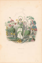 Load image into Gallery viewer, Grandville, J.J. "Erratum"