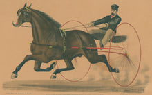 Load image into Gallery viewer, Leighton, Scott "Smuggler, By Blanco ... Owned by Henry S. Russell, Milton, Mass"