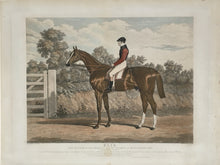 Load image into Gallery viewer, Herring, John Frederick “Elis. The Winner of the Great St. Leger Stakes at Doncaster, 1836…"