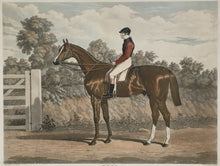 Load image into Gallery viewer, Herring, John Frederick “Elis. The Winner of the Great St. Leger Stakes at Doncaster, 1836…"