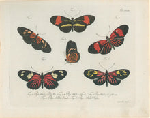 Load image into Gallery viewer, Jablonsky, Carl Gustav.  Plate LXXIII.