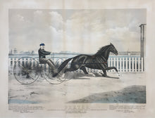 Load image into Gallery viewer, Kelly, Thomas "Dexter ..."