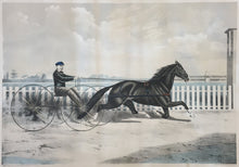 Load image into Gallery viewer, Kelly, Thomas "Dexter ..."