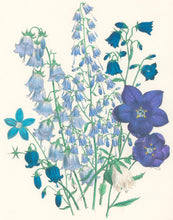 Load image into Gallery viewer, Loudon, Jane Wells  "Plate 61"